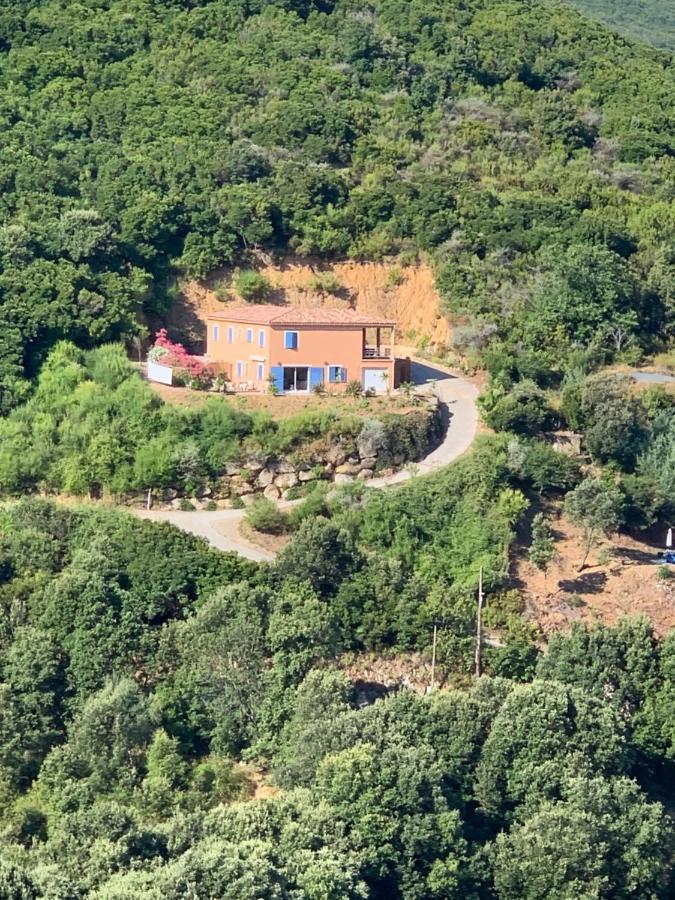 Villa Confina Villanova 외부 사진